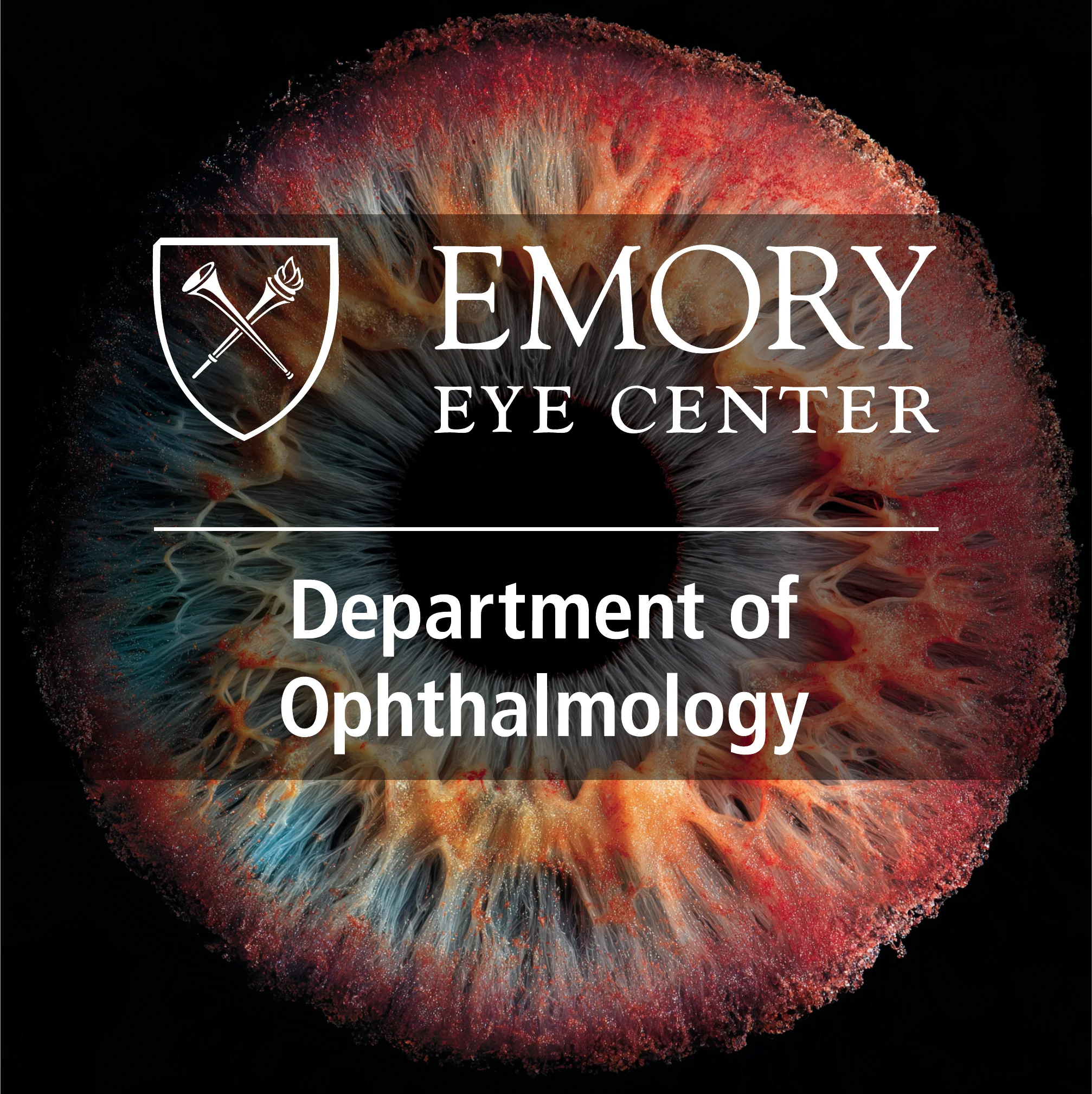 Emory Eye Center Department of Ophthalmology